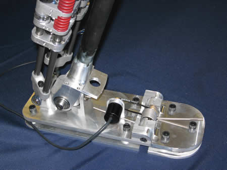 Foot Mount Close-up